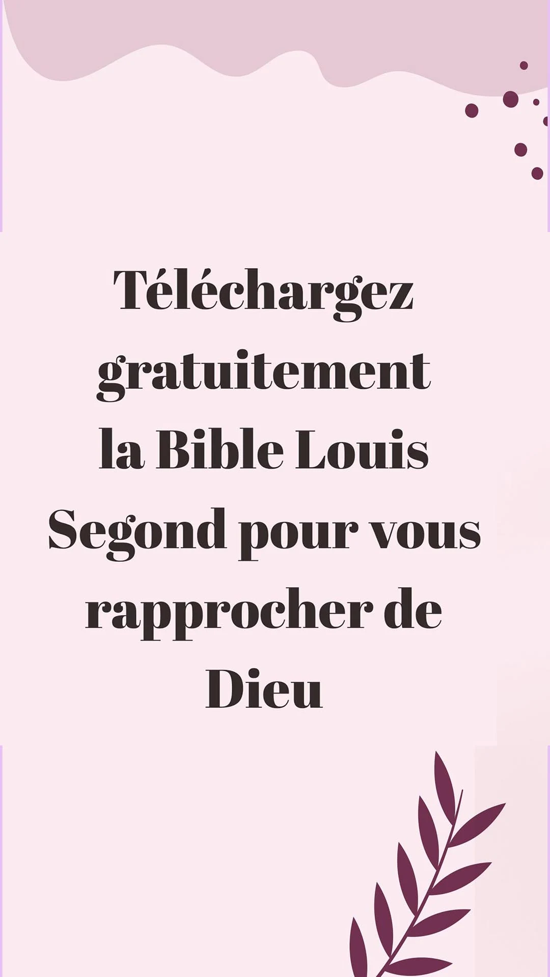 Bible Louis Segond avec audio screenshot