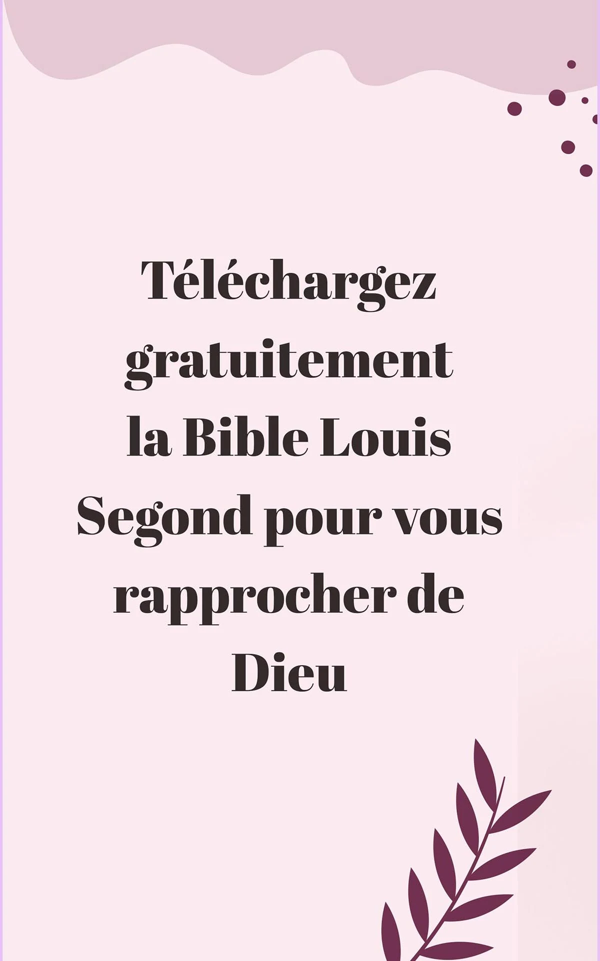 Bible Louis Segond avec audio screenshot