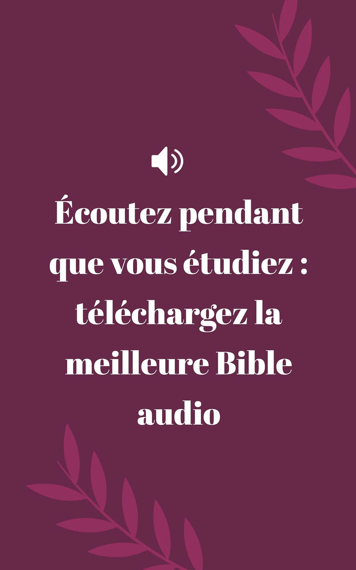 Bible Louis Segond avec audio screenshot